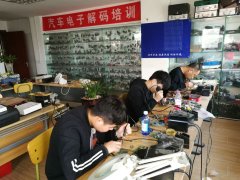 在线免费看逼